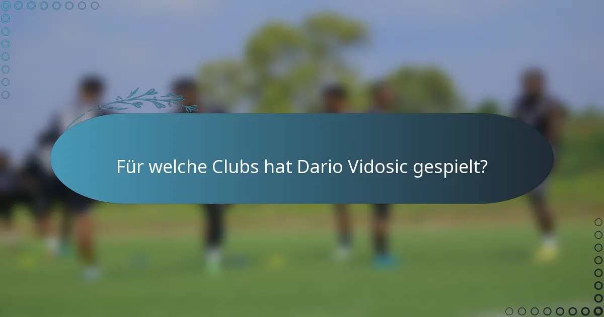 Für welche Clubs hat Dario Vidosic gespielt?
