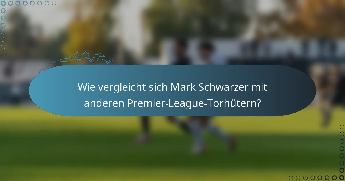 Wie vergleicht sich Mark Schwarzer mit anderen Premier-League-Torhütern?